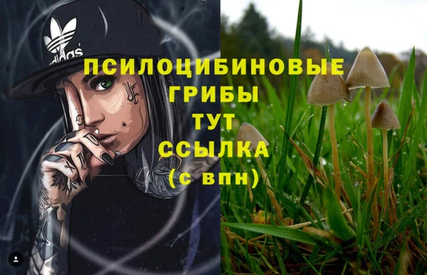 спайс Зеленокумск