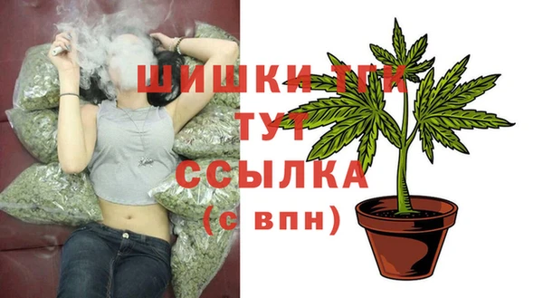 дживик Заводоуковск