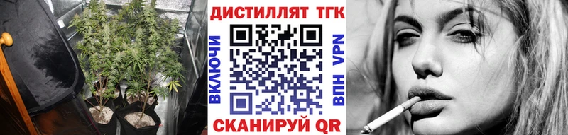 Купить где  Заринск  ТГК концентрат 